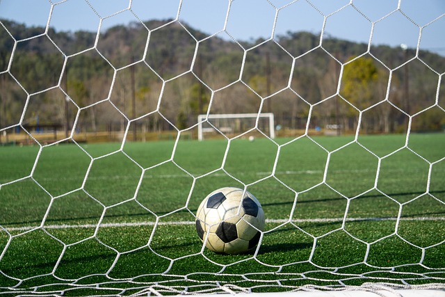 世锦赛所在 世锦赛所在